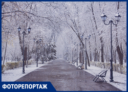 В конце марта в Ростове выпал снег