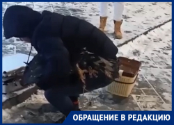 Мучающий орла мужчина в Ростове попал на видео