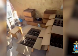 Подпольное производство водки и коньяка под видом известных брендов накрыли под Ростовом