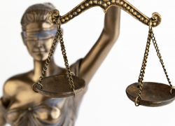 В Ростовской области избрали восемь мировых судей