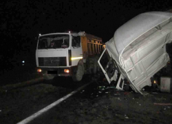 Водитель DAF погиб после фатальной «встречи» с грузовиком на трассе Ростовской области