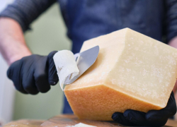 В Ростовской области начнут производить пармезан