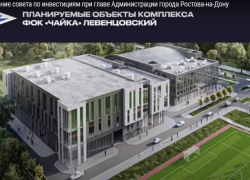 В Ростове свернули проект крупнейшего спорткомплекса «Чайка» на Северном 