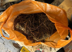 Почти полкило наркотиков нашли дома у жителя Ростовской области