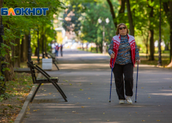 Движение пешеходов на два месяца ограничат в Ростове