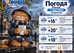 7 сентября в Ростове снова дождливо и до + 20 градусов