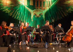 Симфонические саундтреки из Гарри Поттера прозвучат в Ростове в исполнении камерного оркестра