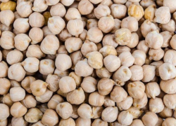 Индийский инвестор перенес начало строительства агрокластера в Ростовской области на 2024 год