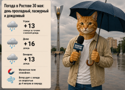 В Ростове продолжатся дожди и похолодание 30 мая