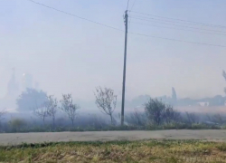 Жителей станицы в Ростовской области эвакуировали из-за лесного пожара