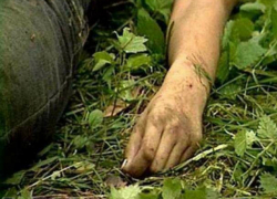 Труп сбежавшего из психбольницы пациента случайно нашел грибник в поле Ростовской области