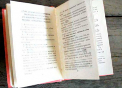Экстремистскую книгу на теплоходе из Турции нашли в порту Ростова