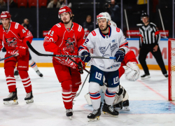 Болельщики ХК «Ростов» создали петицию из-за ухода команды из чемпионата ВХЛ