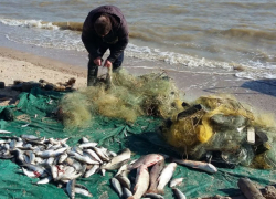 Наглые браконьеры ловили рыбку в мутной воде и попали на видео в Ростовской области 