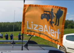 В Ростовской области волонтерам удалось отыскать с начала года 378 пропавших человек