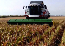 Ростовская область интересным способом решила спасти Крым вопреки проискам украинских радикалов