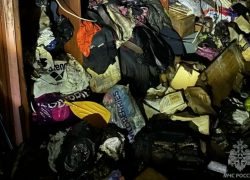 Пенсионер заживо сгорел при пожаре в гараже на Казахской в Ростове