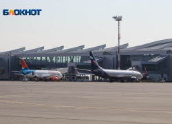 В Ростове осудили двух братьев за саранчу в салоне самолета