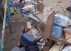 На владелицу приюта, где нашли трупы животных, возбудили дело 