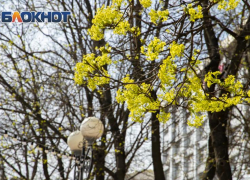 Ждем тепло: прогноз синоптиков на ростовскую погоду в марте