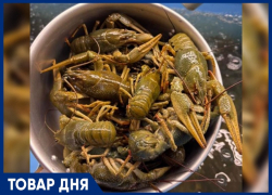 ТОВАР ДНЯ: Рак «Маныч» Средний — 1299 рублей за килограмм