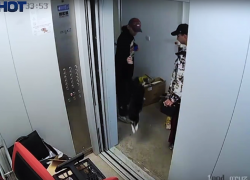 Стали известны предполагаемые жестокие убийцы кошки на Суворовском