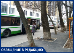 Дорожники закатали в асфальт деревья в Ворошиловском районе Ростова