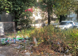 Собаки, наркоманы в заброшках, транспорт: ростовчане рассказали о проблемах своих районов