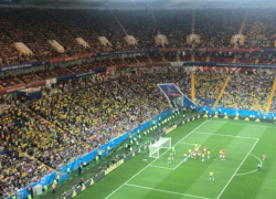 Все билеты подчистую скупили фанаты на матч Мексики с Южной Кореей в Ростове