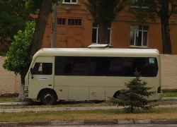 "Кара небесная" в образе дерева настигла невнимательного маршрутчика в Ростове