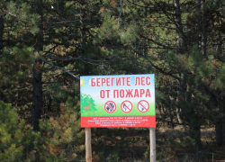 В Ростовской области продлили запрет на пребывание граждан в лесах