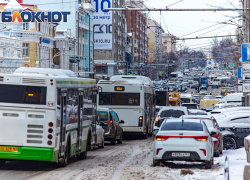 В 2024 году жители Ростовской области оплатили картой 135 млн поездок в общественном транспорте