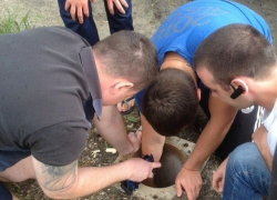 Уникальную операцию по спасению несчастной ондатры из колодца провели в Ростовской области