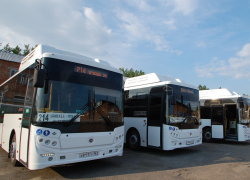Ростов с Батайском свяжет новый автобусный маршрут 