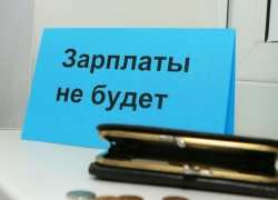 Почти целый год в Ростовской области 197 сотрудников компании работали за "спасибо" 