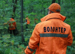 В Ростовской области каждый год без вести пропадают около 200 человек 