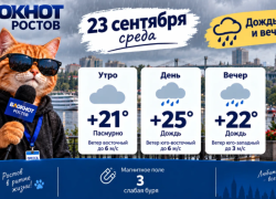 Дождливо и пасмурно в среду 23 сентября в Ростове