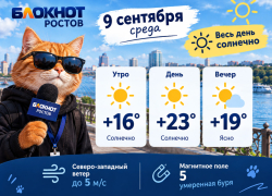 В Ростове похолодало: синоптики рассказали о погоде на 9 сентября