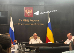 На Дону полицейским возвращают сумму предложенных взяток и депортируют мигрантов 
