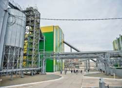 На Дону в Зверево построят маслозавод за 3,7 млрд рублей