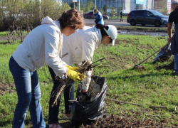 Ростовчане озвучили в комментариях у главы города мнения о предстоящем субботнике