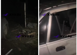 В Красносулинском районе при атаке беспилотника погибла собака