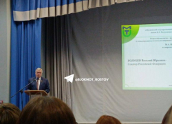 Экс-губернатор Голубев рассказал московским студентам про важность творчества Шолохова