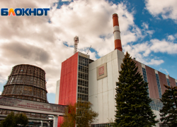 В Ростовской области на ТЭЦ установят защиту от дронов за 65 млн рублей
