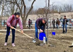 В Таганроге приступили к высадке гимназического сада по мотивам «Вишнёвого сада» Чехова
