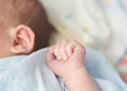 Новорожденную в Ростовской области назвали в честь героини сказок