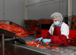 Ростовская компания «Агроком» вошла в сотню крупнейших частных предприятий России