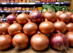 В Ростовской области цены на лук выросли почти в два раза