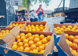Протесты в Абхазии не повлияли на поставки мандаринов в Ростовскую область