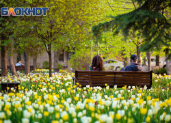 Теплый весенний день ожидается в Ростове 16 апреля